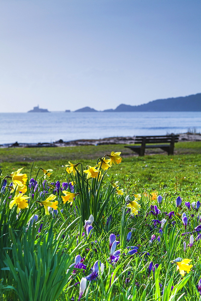 Mumbles, Swansea, Wales, United Kingdom, Europe