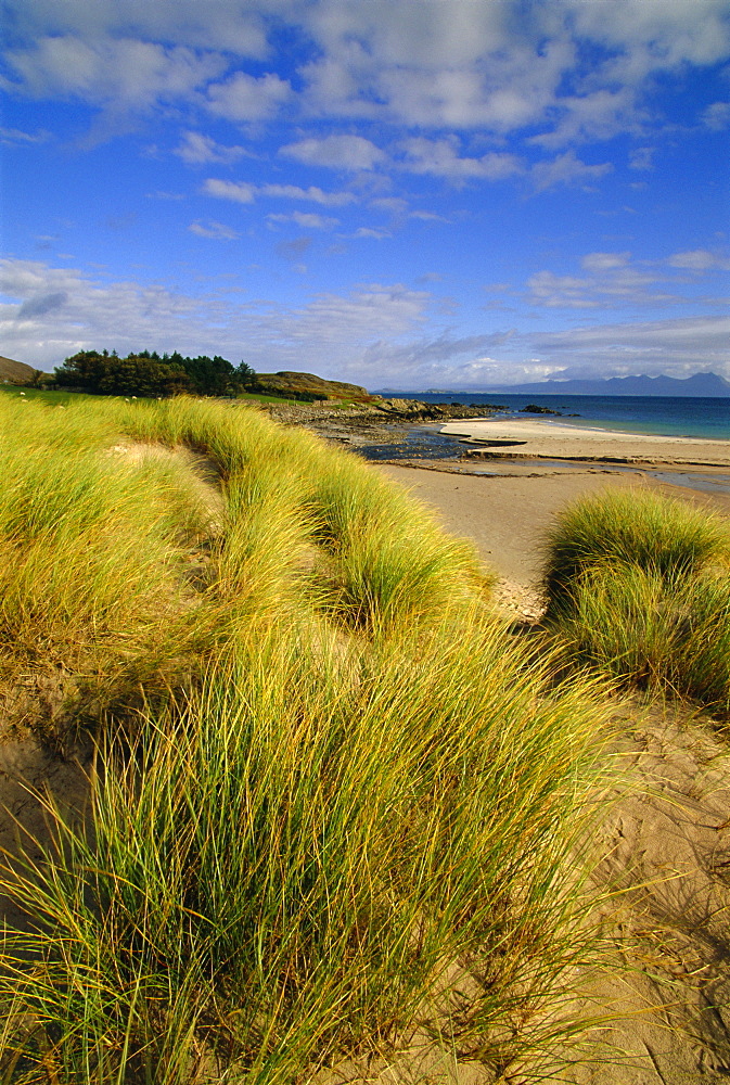 Dunes and grasses, Mellon Udrigle, Wester Ross, Highlands Region, Scotland, UK, Europe