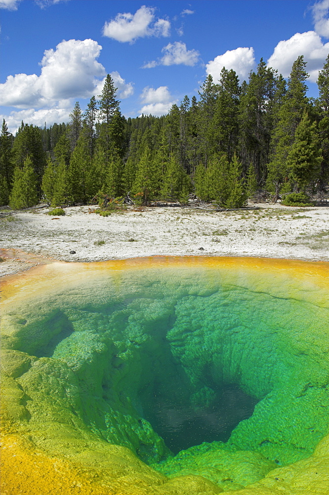 Morning Glory Pool, Upper Geyser Basin, Yellowstone National Park, UNESCO World Heritage Site, Wyoming, United States of America, North America