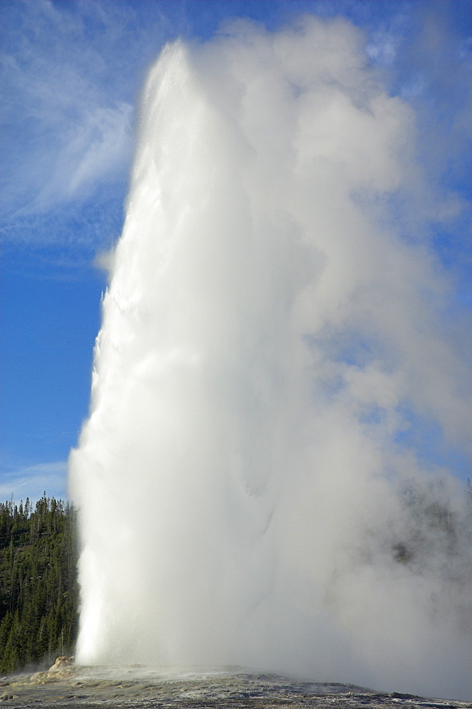 Old Faithful geyser erupting, Upper Geyser Basin, Yellowstone National Park, UNESCO World Heritage Site, Wyoming, United States of America, North America