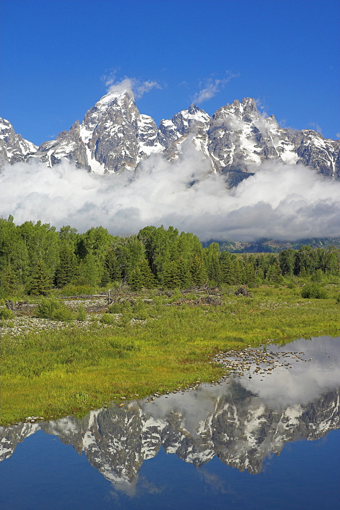 The Cathedral Group of Mount Teewinot, Mount Owen and Grand Teton from the Snake River at Schwabacher's Landing, Grand Teton National Park, Wyoming, United States of America, North America