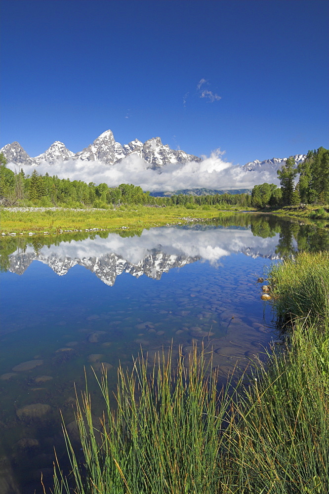 The Cathedral Group of Mount Teewinot, Mount Owen and Grand Teton reflected in the Snake River, Schwabacher's Landing, Grand Teton National Park, Wyoming, United States of America, North America