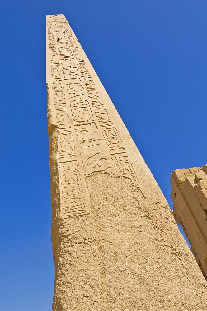 Giant granite obelisk decorated with hieroglyphics at the great Temple at Karnak near Luxor, Thebes, UNESCO World Heritage Site, Egypt, North Africa, Africa