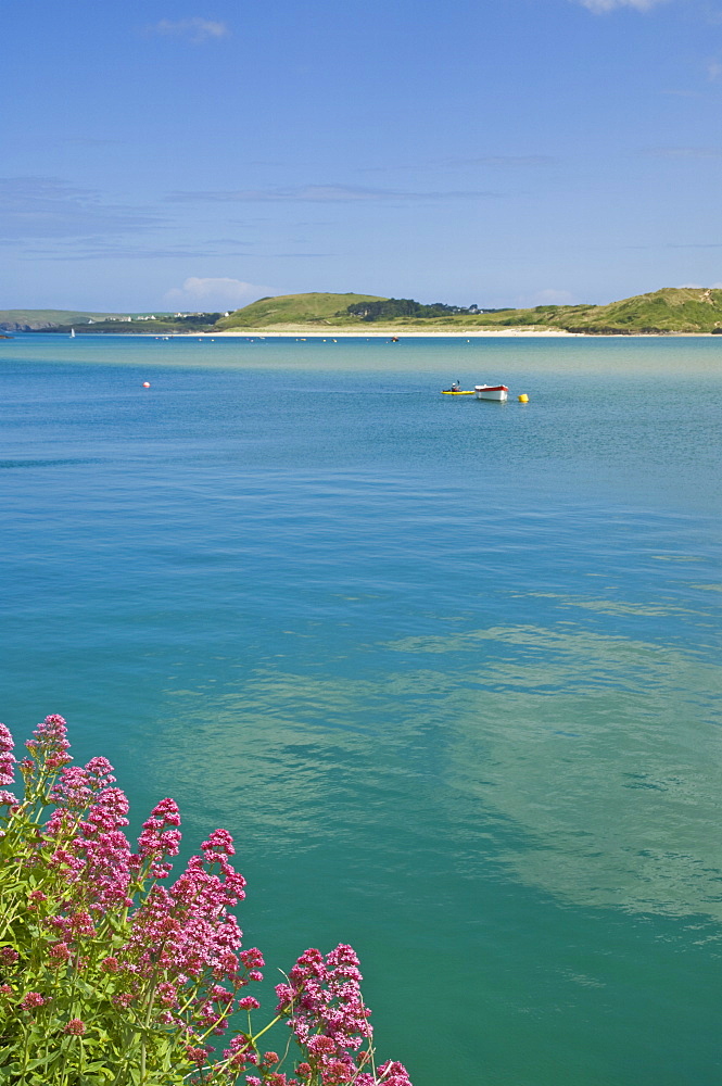 River Camel estuary, North Cornwall, England, United Kingdom