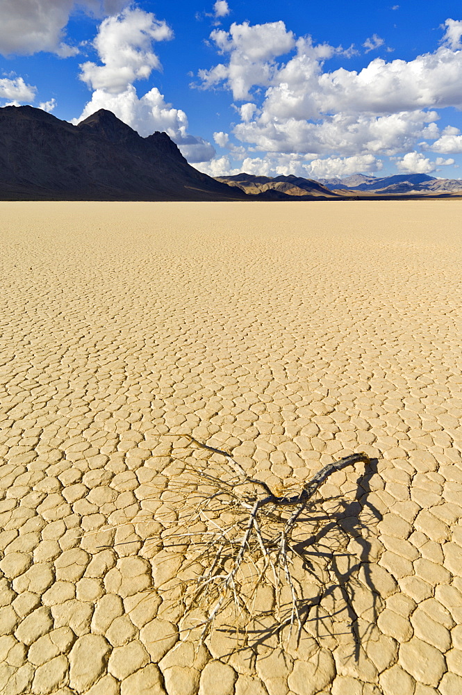 The Grandstand in Racetrack Valley, a dried lake bed known for its sliding rocks on the Racetrack Playa, Death Valley National Park, California, United States of America, North America