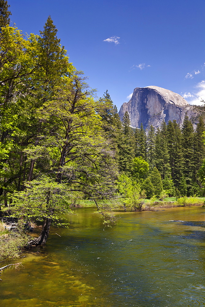 Half Dome granite monolith, Merced River, Yosemite Valley, Yosemite National Park, UNESCO World Heritage Site, Sierra Nevada, California, United States of America, North America