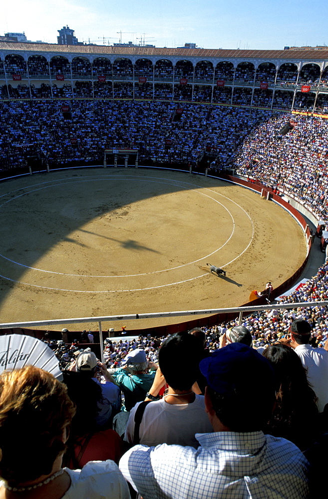 Spain, Madrid, Plaza De Toros, Six Toros Corrida With Matador Julian Lopez El Juli Hold On May 27th 2003 (San Isdro Feria)