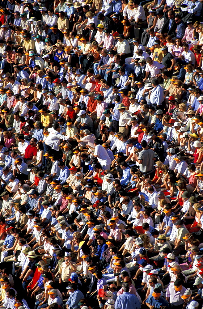 Spain, Madrid, Plaza De Toros, Six Toros Corrida With Matador Julian Lopez El Juli Hold On May 27th 2003 (San Isdro Feria)