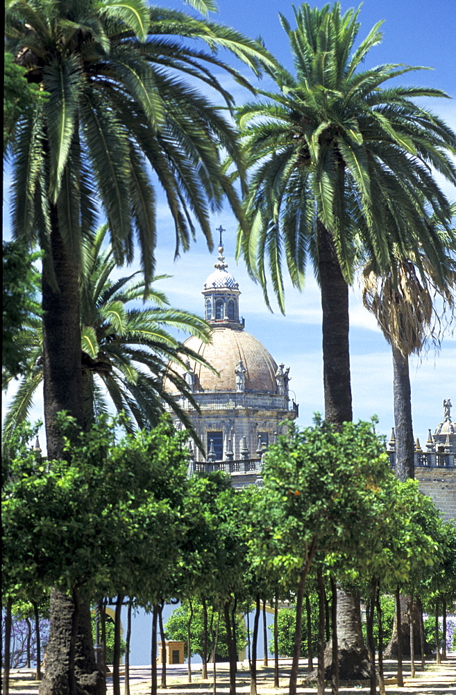 Spain, Andaloucia, Jerez-De-La-Frontera, The Cathedral & Palmes At Fore