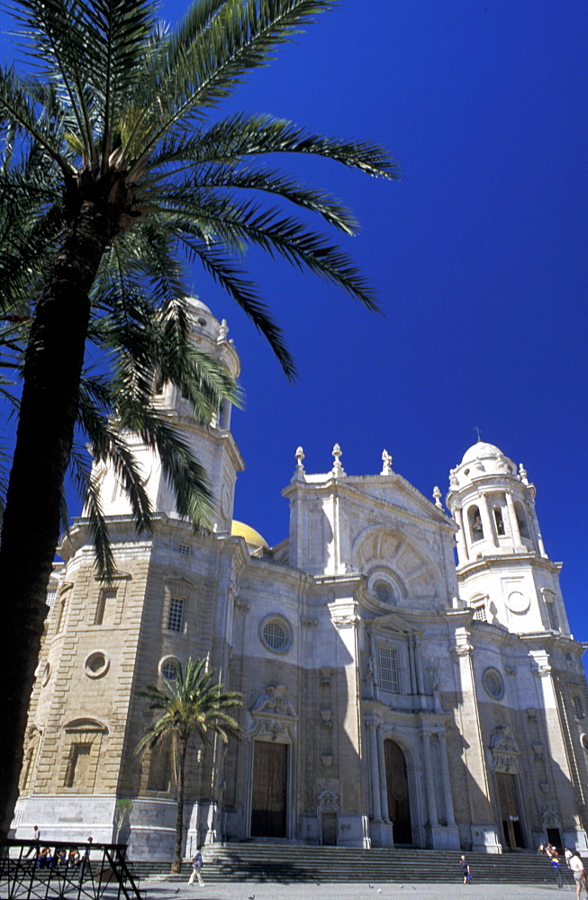 Spain, Andaloucia, Cadiz, The Cathedral & Palme At Fore