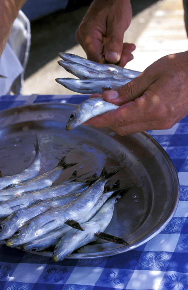 Spain, Andaloucia, Costa-Del-Sol, Marbella, Preparing Sardines For A Beach Barbecue