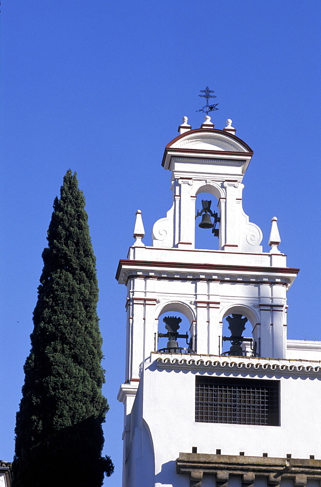 Spain, Andaloucia, Sevilla, Belfry & Cypress On Plaza Dona Elvira