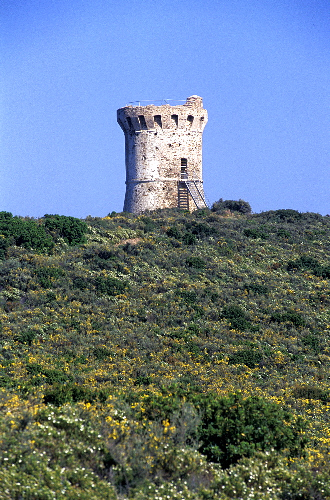 France, Corsica Island, Corse-Du-Sud, East Coast, Pinarellu Gulf & Genovese Tower