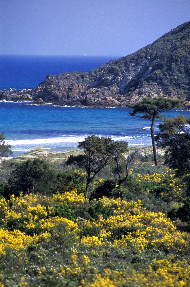 France, Corsica Island, Corse-Du-Sud, East Coast, Pinarellu Gulf & Genovese Tower