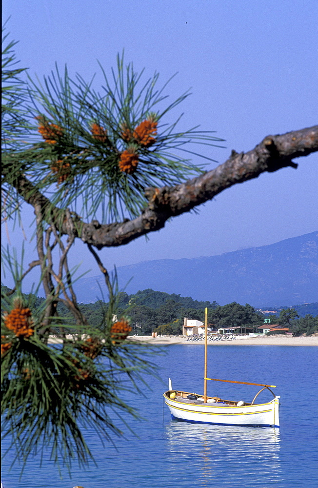 France, Corsica Island, Corse-Du-Sud, Porto-Vecchio, Cala Rossa Hotel Shore Line