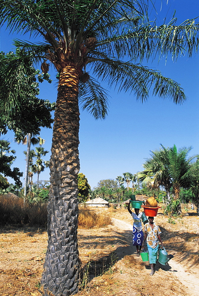 Senegal, Casamance, Diolla Village