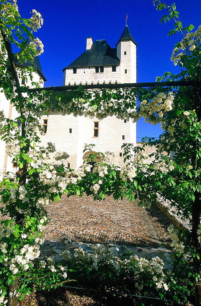 France, Touraine, Indreetloire (37), Le Riveau Renaissance Castle And Garden At Spring