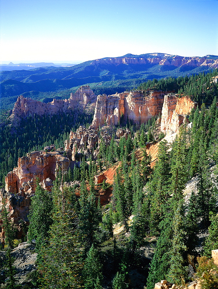 Usa, South West, Utah, Bryce Canyon National Park In Summer