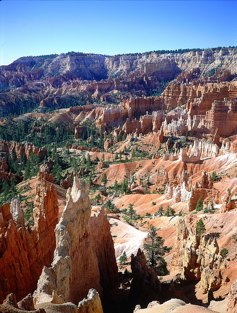 Usa, South West, Utah, Bryce Canyon National Park In Summer