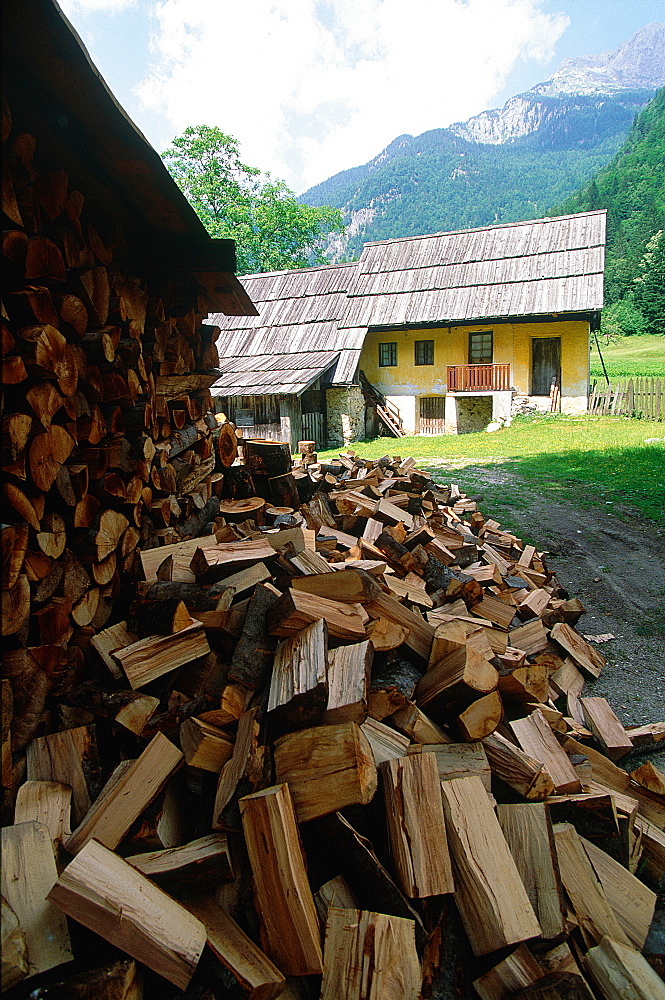 Slovenia, Alps, Upper Soca Valley, A Farm