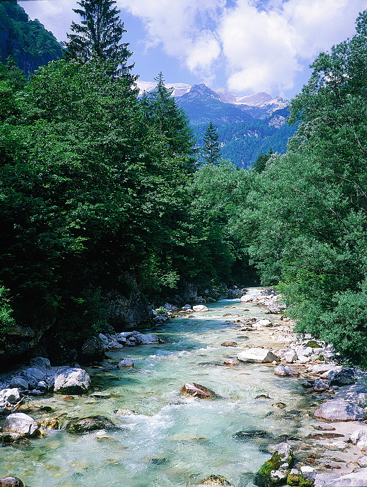 Slovenia, Alps, Upper Soca Valley, Landscape