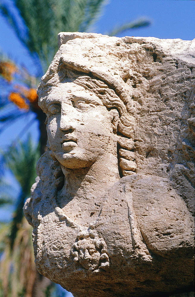 Syria, Mediterranean Coast, City Of Latakia, Archeological Museum, Closeup Of A Roman Sculpture In The Garden