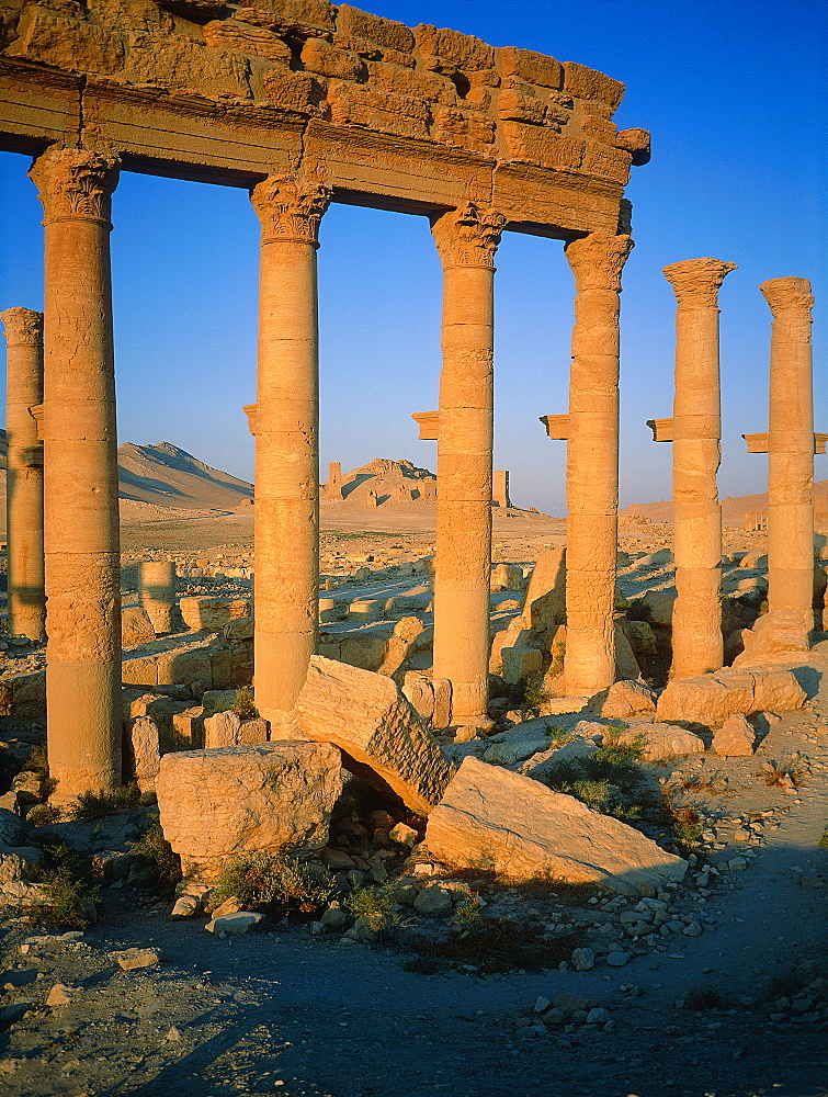 Syria, Palmyra Oasis, The Roman Ruins, Remnants Of The 1200m Colonnade Edging The Cardo (Main Road In The Roman City Center) 