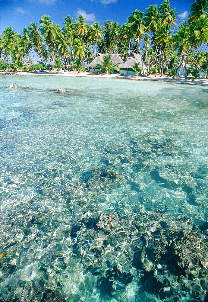 French Polynesia, Tuamotus Archipelago, Atoll Of Manihi, Remote Sand Islet In The Lagoon With Hotel Huts Among Palms