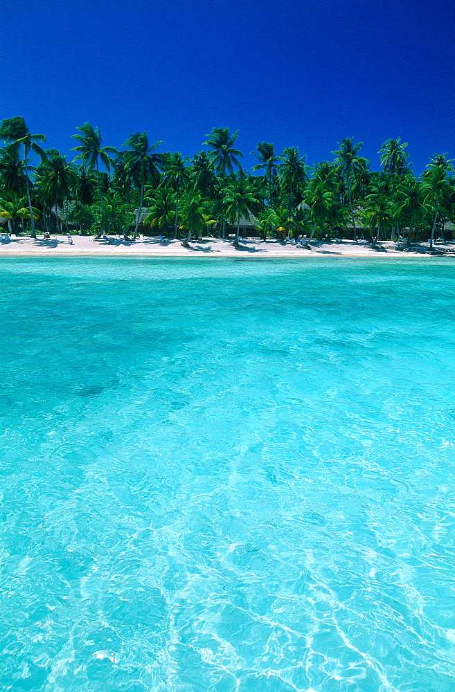 French Polynesia, Tuamotu Archipelago, Atoll Of Rangiroa, Lagoon And Beach At Robinson's Beach