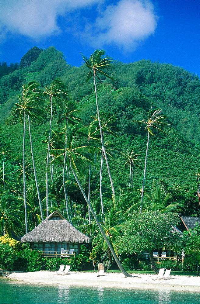 French Polynesia, Windward Islands, Moorea, Haapiti, Hotel Beachcomber, Cabin Under The Palms