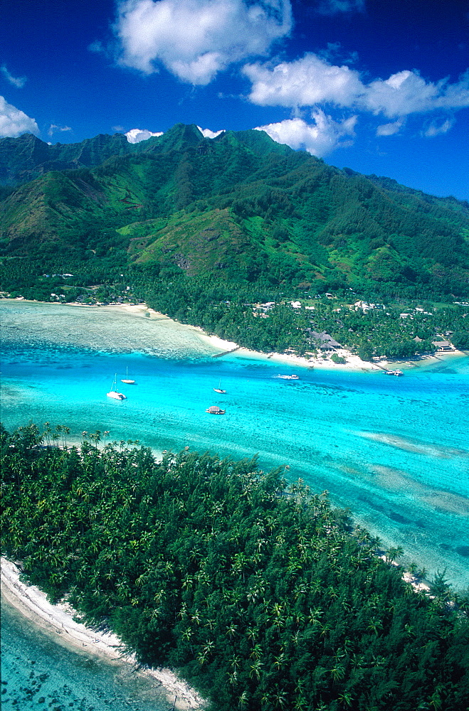 French Polynesia, Windward Islands, Moorea, Aerial Of Haapiti Beaches And Lagoon