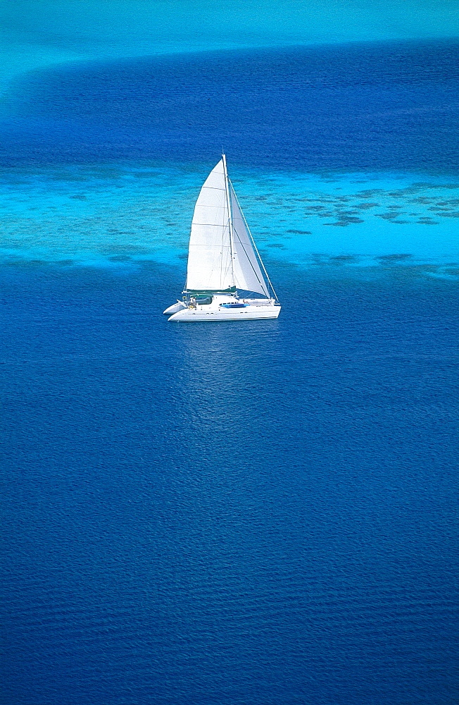 French Polynesia, Leeward Islands, Borabora Lagoon, Sailing Boats Heading On, Aerial