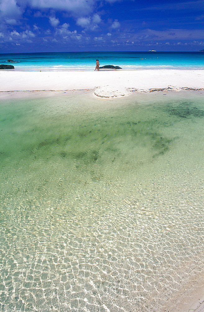 Seychelles, Praslin Island, River Mouth In The Lagoon