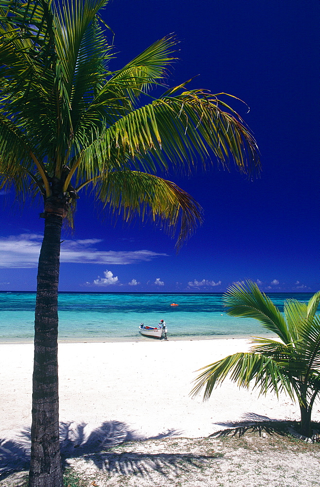 Mauritius Island, Morne Brabant Beach, The Lagoon Boat And Palms