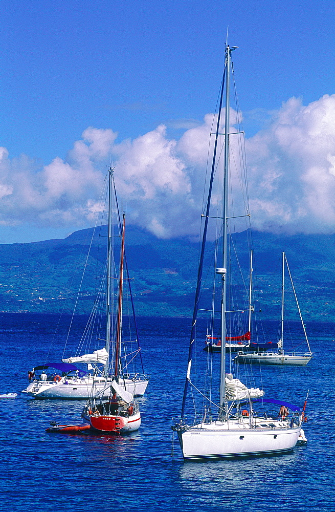 French West Indies, Guadeloupe, Town Of Pointe A Pitre, Sailing Boats Moored In The Marina