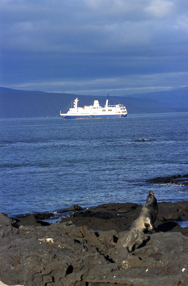 Ecuador, Galapagos Archipelago, Cruise On Board Of Ms Santa Cruz, 