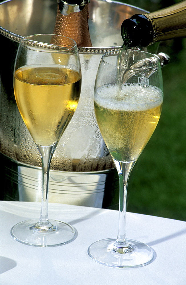 Champagne being poured into glasses, Relais et Chateau Michelin three stars Les Crayeres, Reims, Marne, Champagne, France, Europe