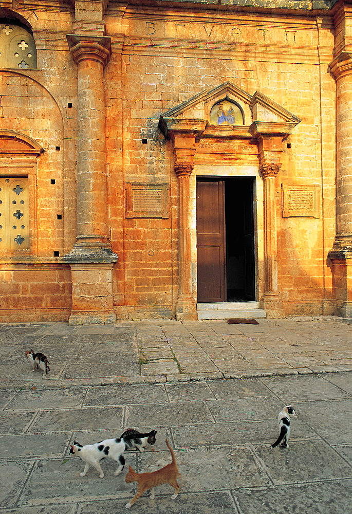 Creta, Preveli, Monastery & Cats, Greece