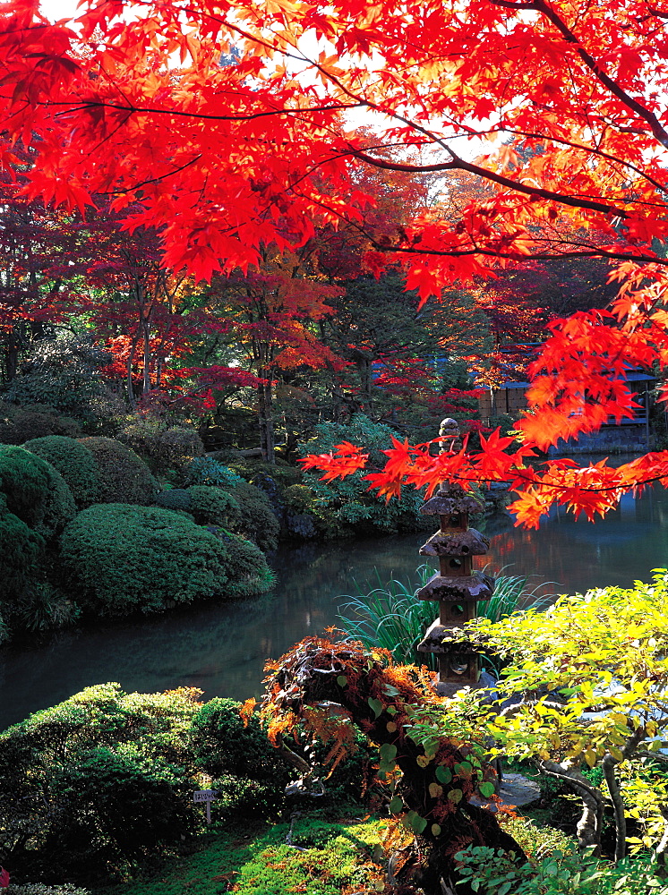 Japan, Nikko, Rinno-Ji Park At Fall