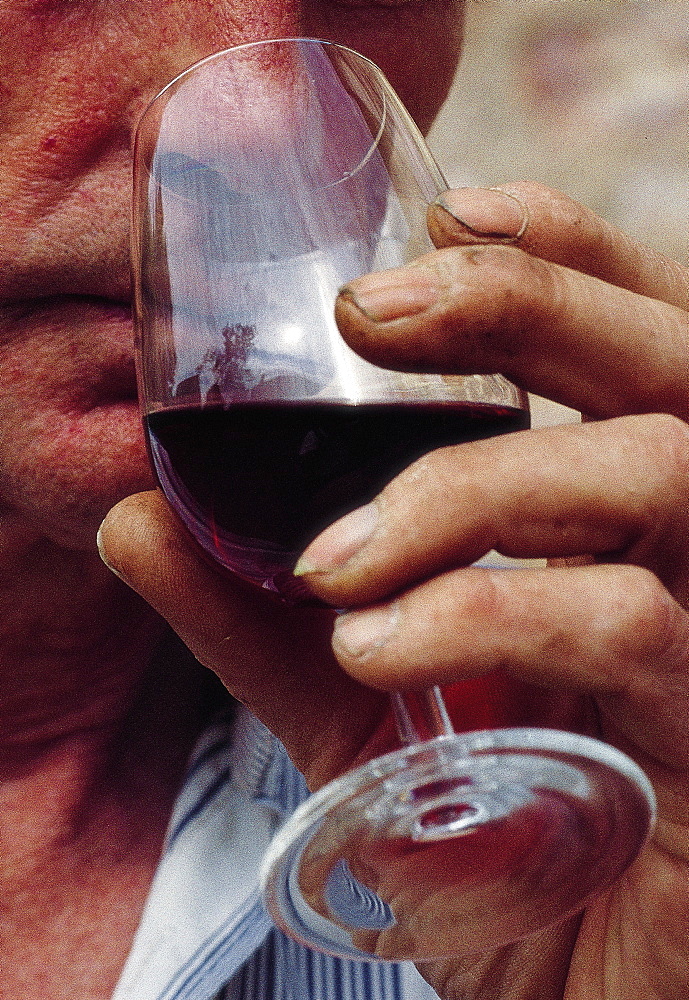 Mercurey, Winemaker Tasting, Burgundy, France