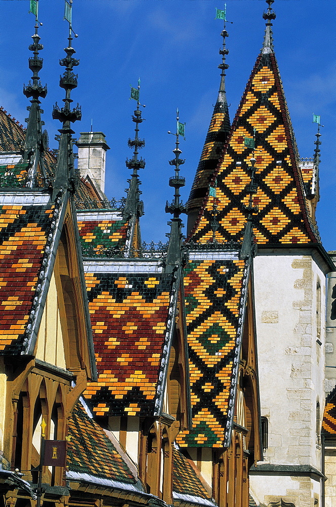 Beaune, Hospital, Tiles Roof, Burgundy, France