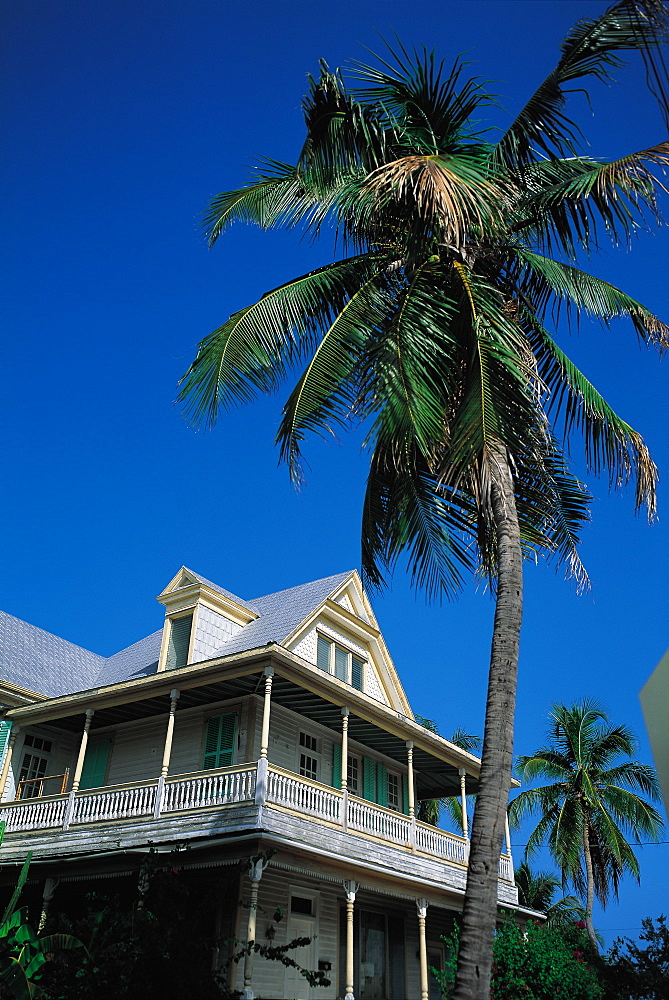 Victorian House And Palme, Key West, Florida, Usa