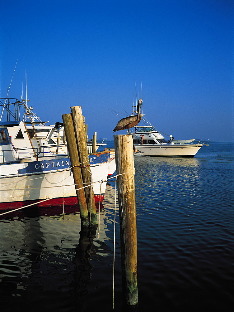 Charters Boats Pier, Key West, Florida, Usa