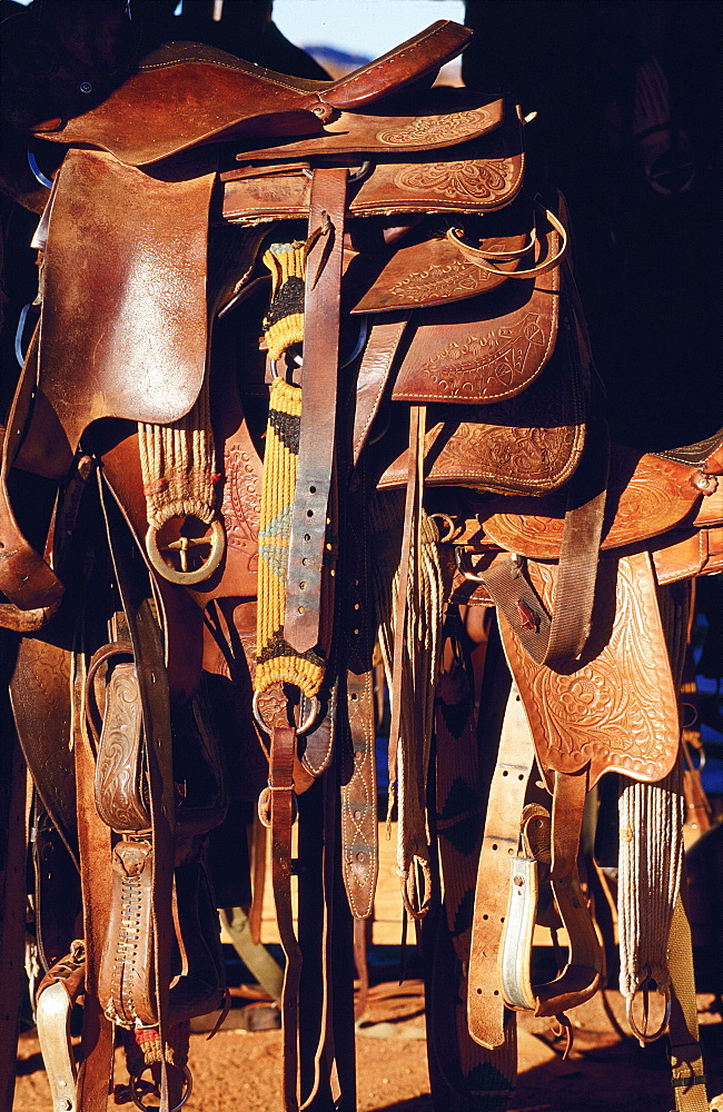 Usa, Utah, Monument Valley, Saddles In Blake Ranch