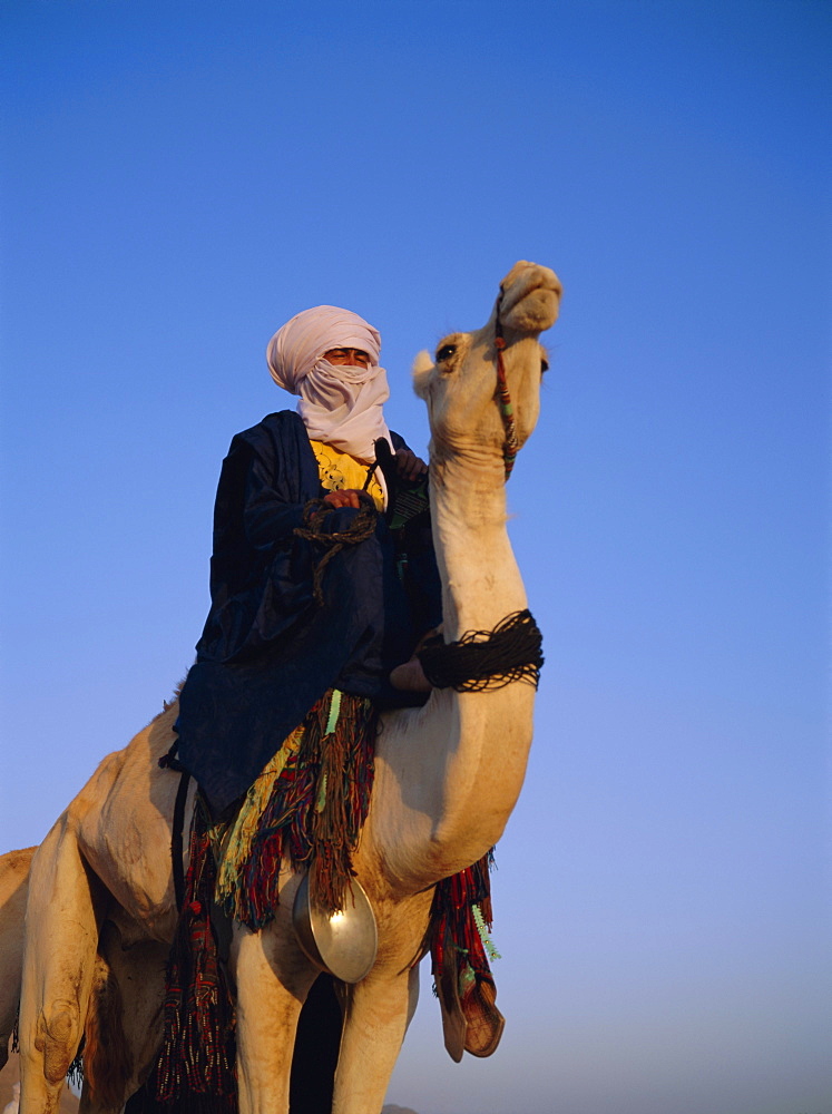 Tuareg on camel, Algeria, North Africa