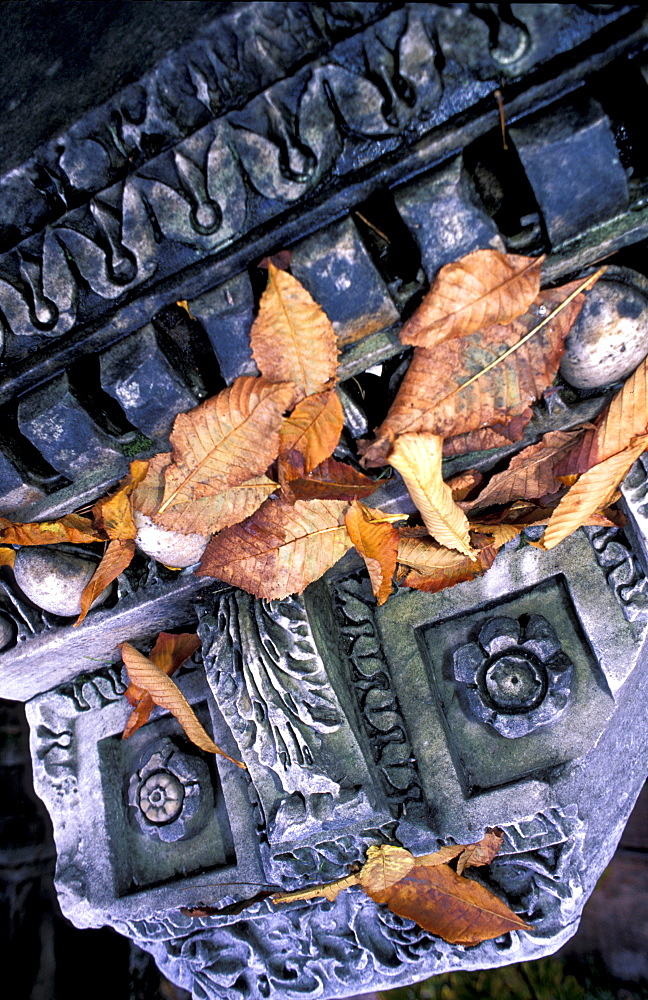Italy, Rome, Forum Roman Ruins, Close Up Of A Stone In Autumn