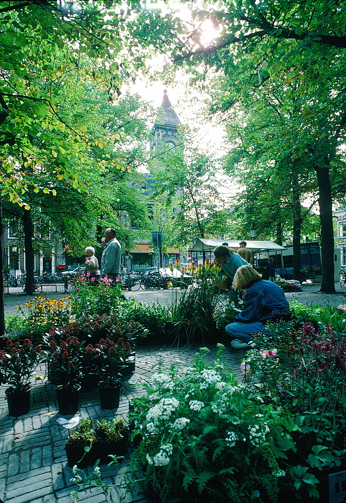 Netherlands, Country, Utrecht, The Flowers Market