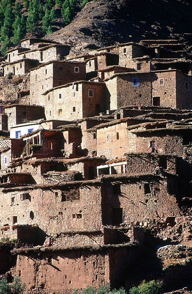 Morocco, Atlas, Ourika Valley, Berber Village Houses Built In Adobe