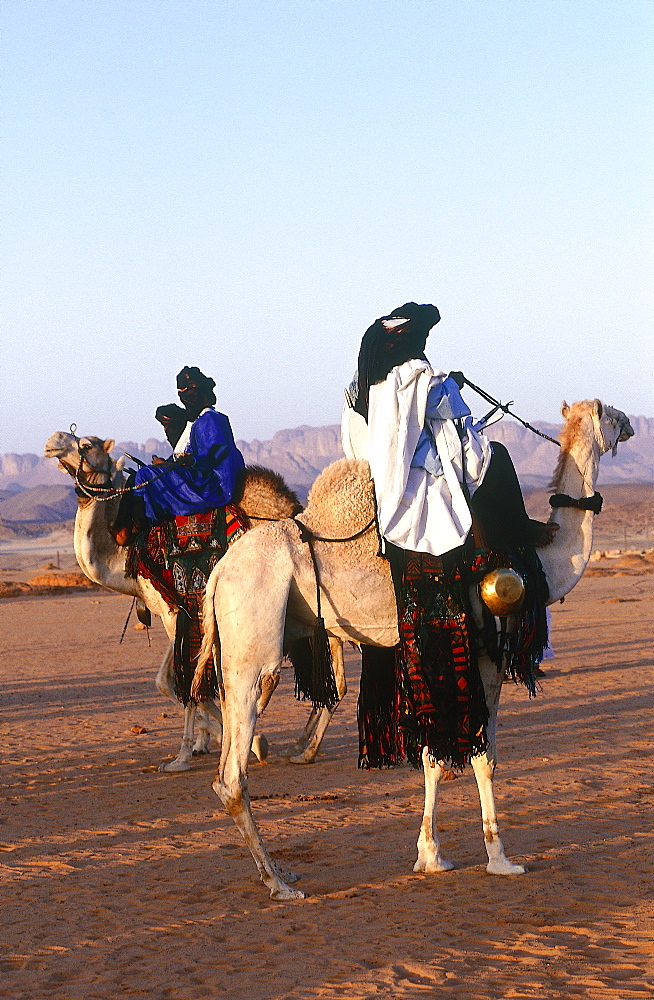 Algeria, Sahara, Tassili M'ajjer, Oasis Of Djanet, Tuaregs Riding Their Camel 