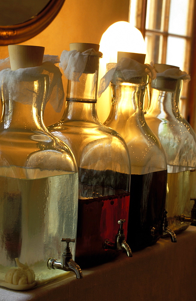 Russia, Saint Petersburg, Restaurant Named Restauran, Bottles Of Home Made Alcohols 